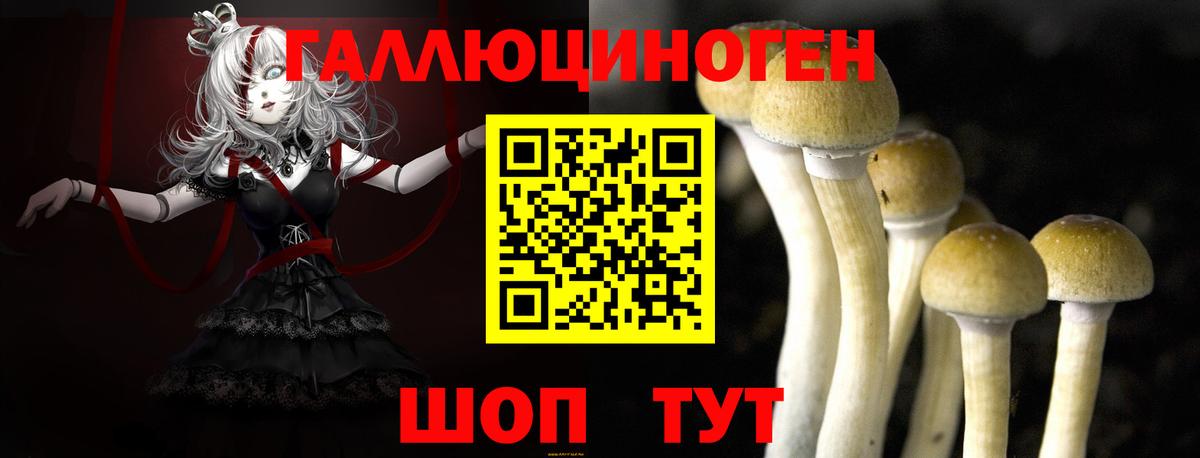 Галлюциногенные грибы MAGIC MUSHROOMS  Вход с VPN  Гурьевск 